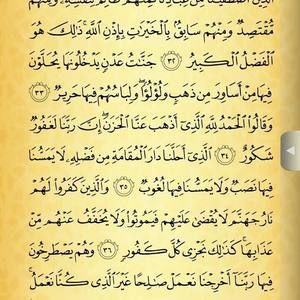 Meet your Posher, Mohamed